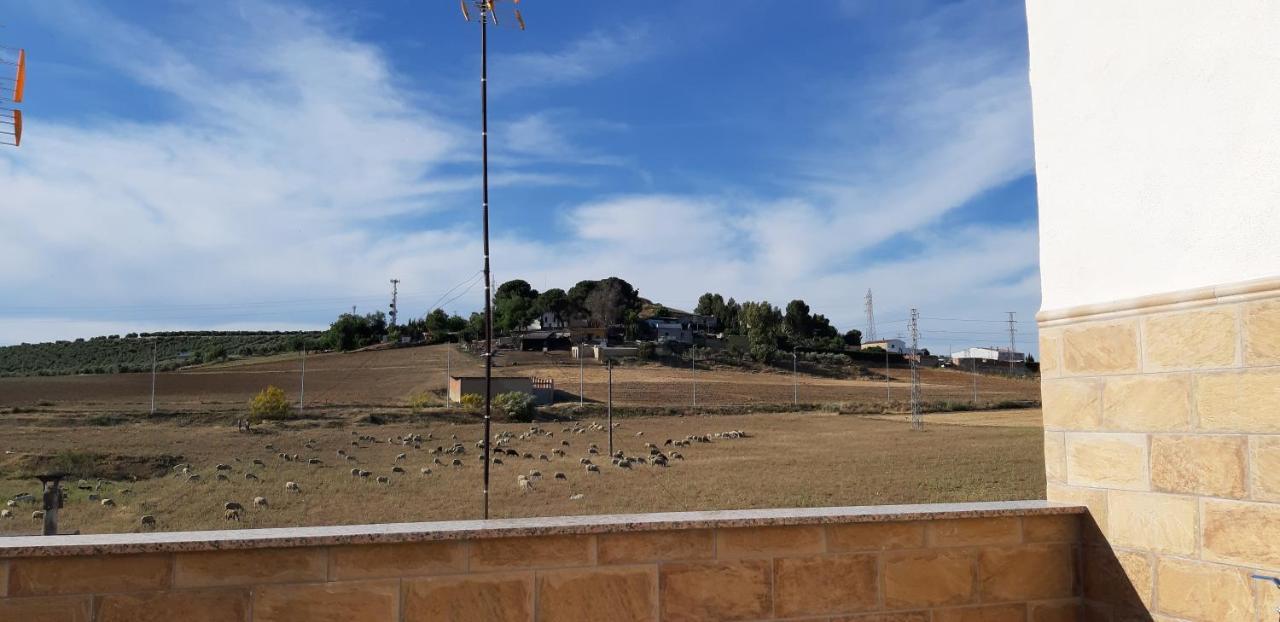 Piso La Buganvilla Bailén Esterno foto
