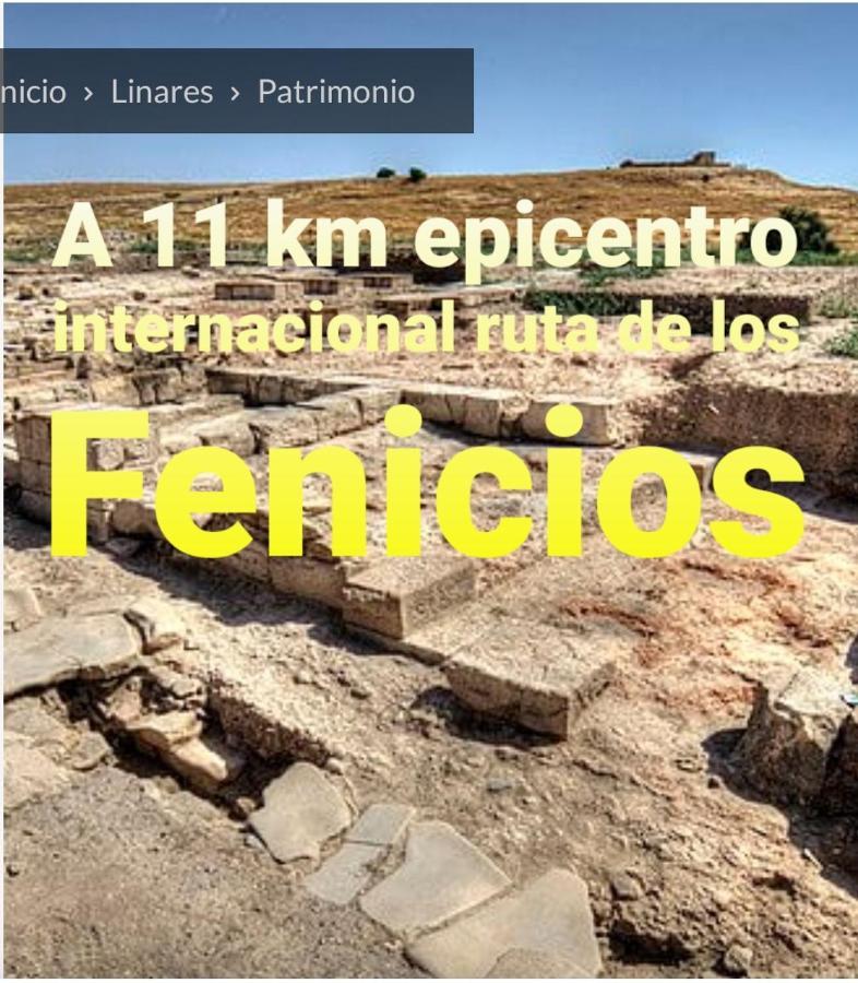 Piso La Buganvilla Bailén Esterno foto