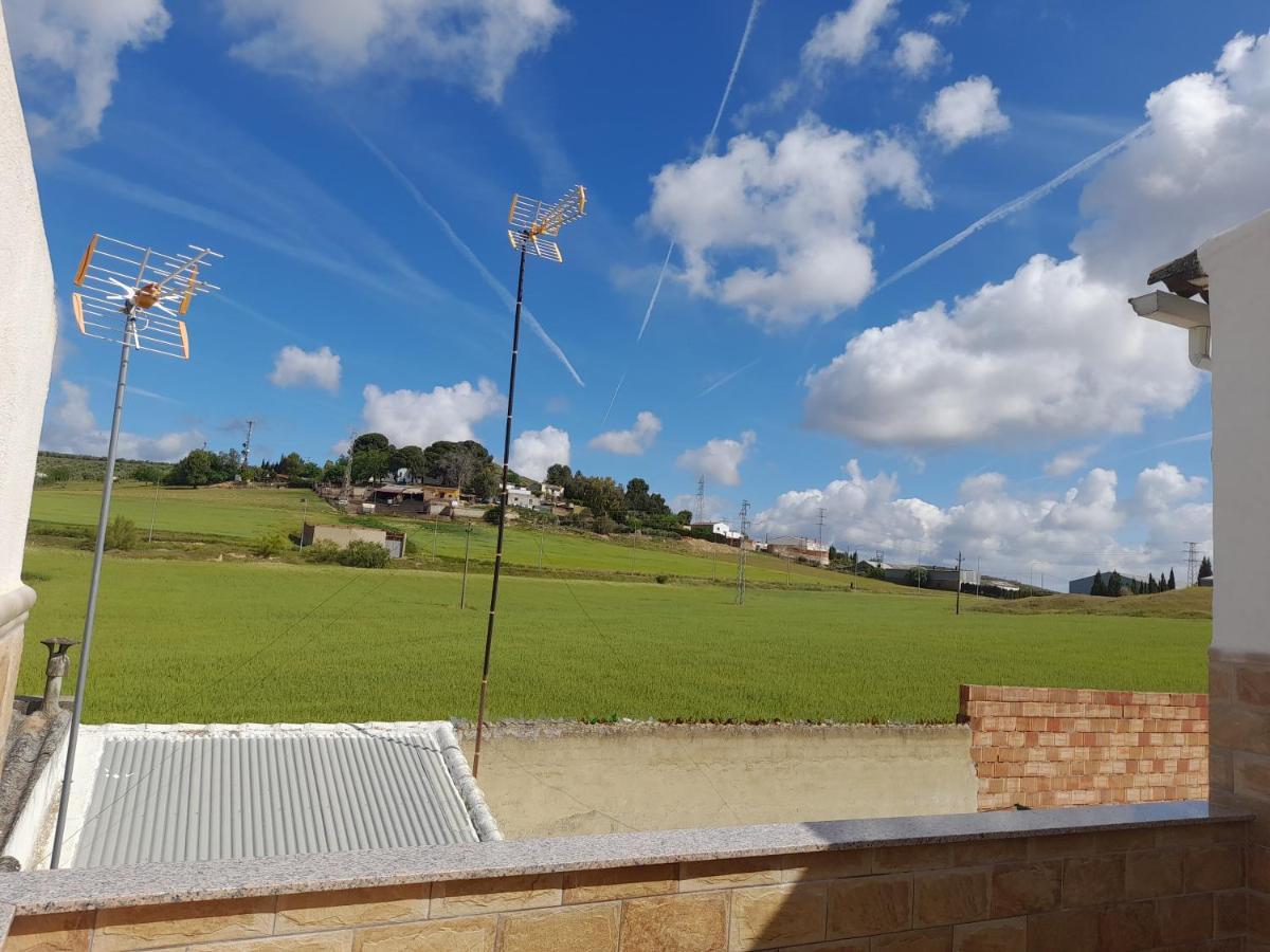 Piso La Buganvilla Bailén Esterno foto